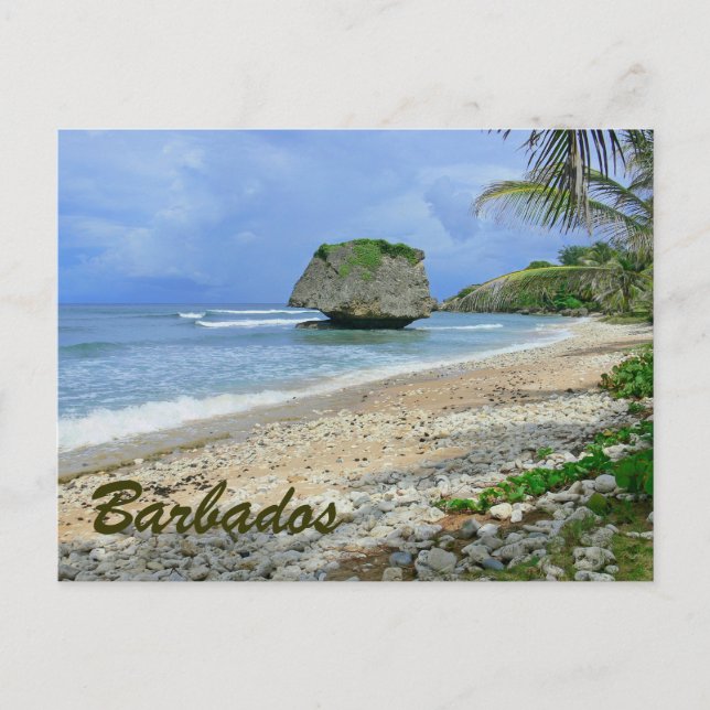 BARBADOS (BEACH/STORA STEN) POSTCARD VYKORT (Framsida)