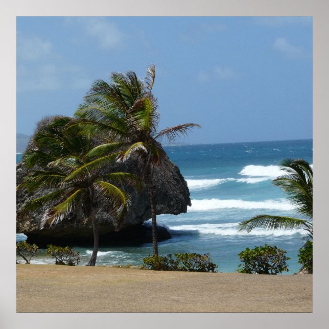 Barbados Beauty Poster (Framsidan)