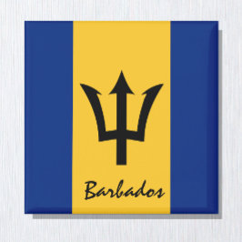 Barbados flagga & America helgdag/sportfantaster Magnet