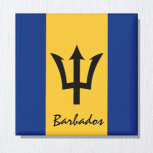 Barbados flagga & America helgdag/sportfantaster Magnet