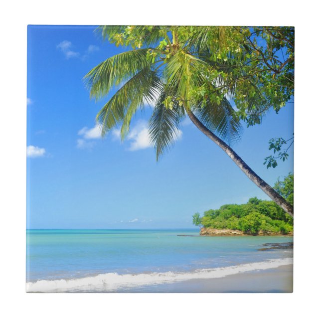 Barbados Kakelplatta (Framsidan)