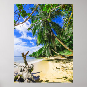 Barbados Karibien Beach Handflatan Träd Retreat Poster