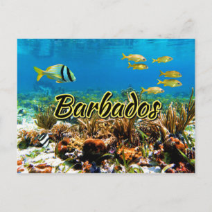 Barbados korallrev vykort