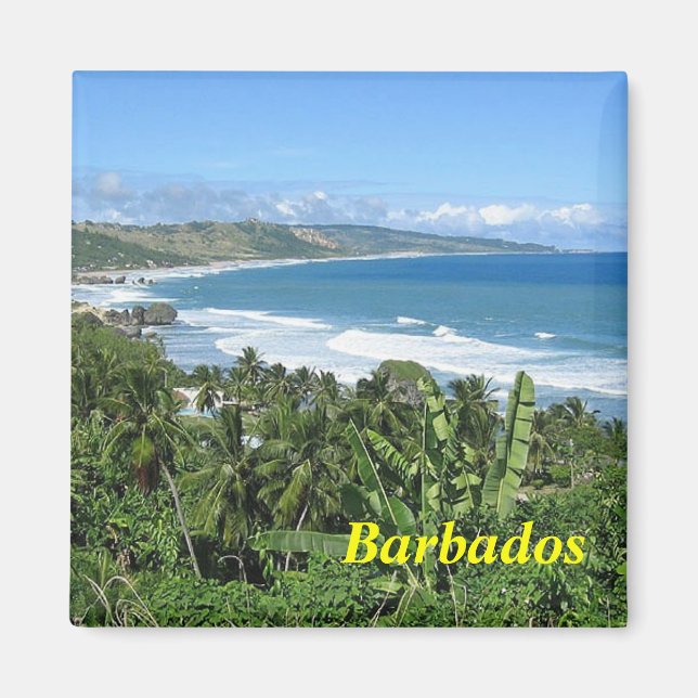 Barbados magnet (Framsidan)