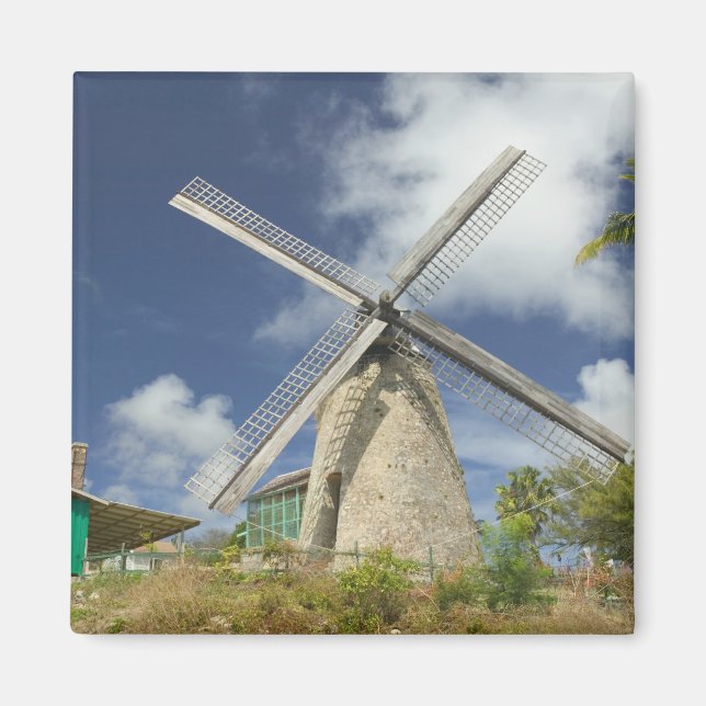 BARBADOS, nordöstra kust, Morgan Lewis: Morgan Magnet (Framsidan)