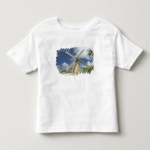 BARBADOS, nordöstra kusten, Morgan Lewis: Morgan Tee Shirt
