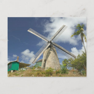 BARBADOS, nordöstra kusten, Morgan Lewis: Morgan Vykort