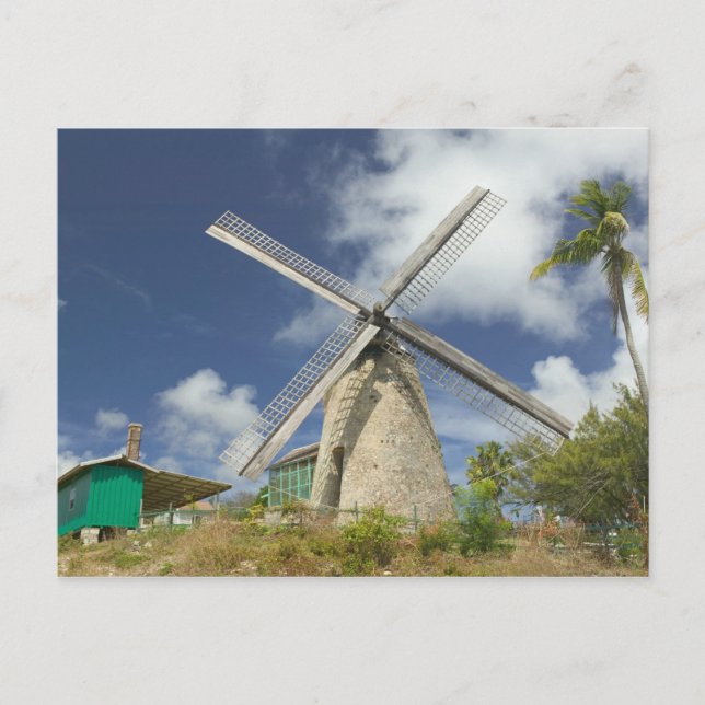 BARBADOS, nordöstra kusten, Morgan Lewis: Morgan Vykort (Framsida)