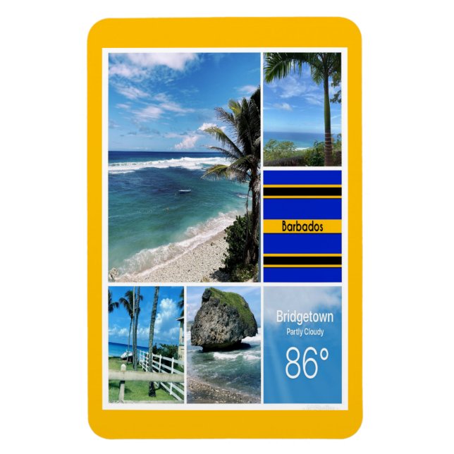 Barbados Oceanska vyer Magnet (Vertikal)