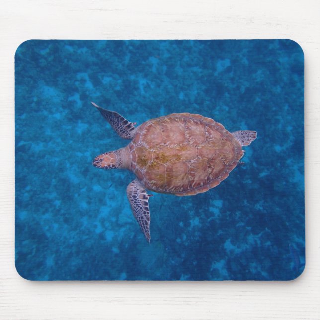Barbados Sea Turtle Musmatta (Framsidan)