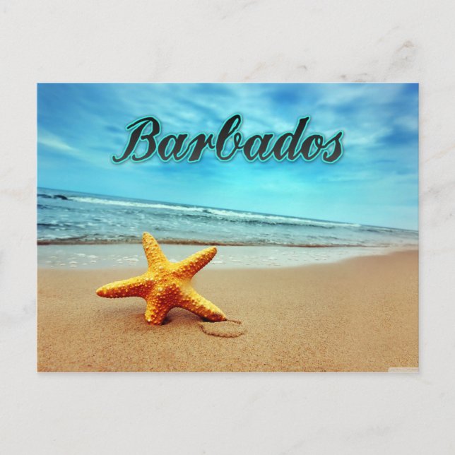 Barbados sjöstjärna vykort (Framsida)