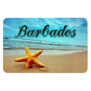 Barbados stjärnfisk magnet