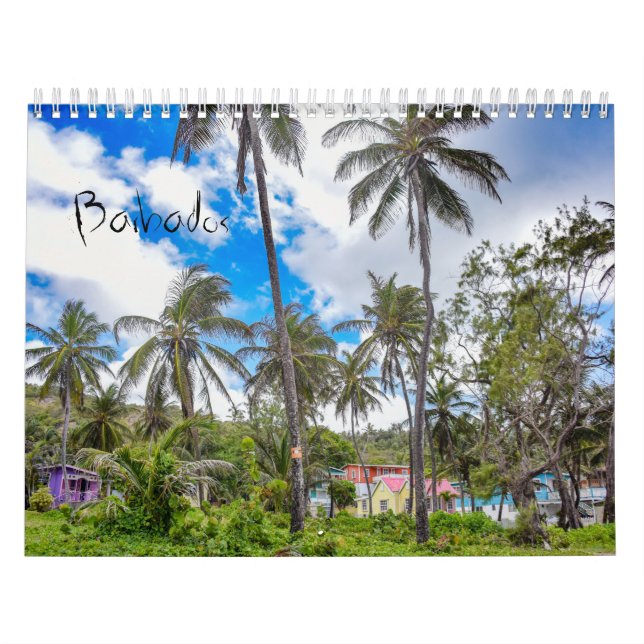 Barbados Tropical Island Wall Calendar Kalender (Omslag)