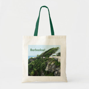 Barbados Tygkasse