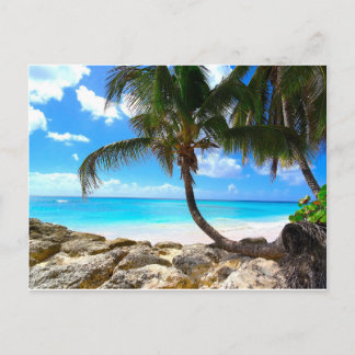 Barbados - Vitt vykort för sandstrand