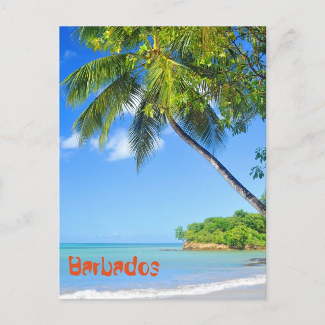 Barbados Vykort (Framsida)