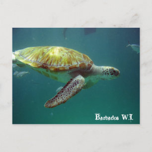 Barbados W.I. Vykort