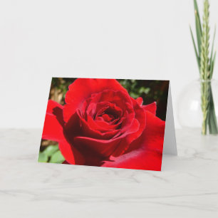 Bärbar Blommigt i Röd ros Kort