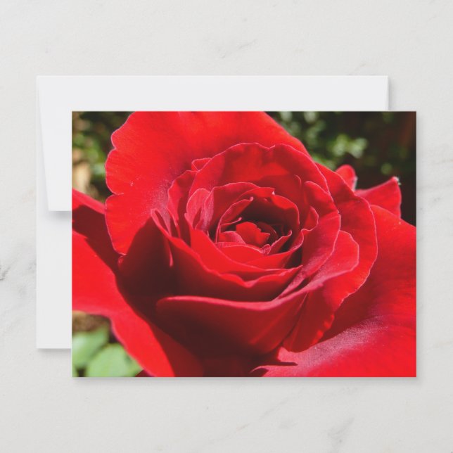 Bärbar Blommigt i Röd ros Kort (Framsida)
