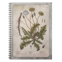 Bärbar botanisk illustration - Dandelion Anteckningsbok