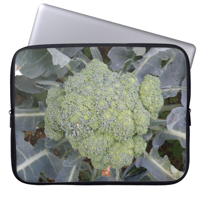 Bärbar Broccoli-behållare Laptop Fodral (Framsidan)