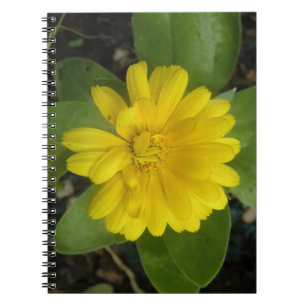 Bärbar dator för Bright Gult Marigold Anteckningsbok Med Spiral