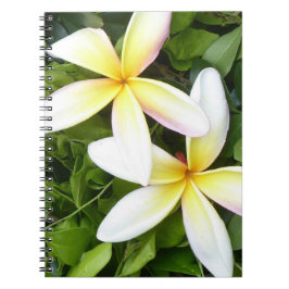 Bärbar dator från Bright Hawaiian Flowers Photo Sp Anteckningsbok