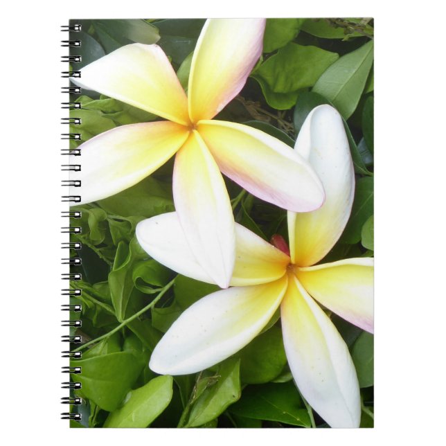Bärbar dator från Bright Hawaiian Flowers Photo Sp Anteckningsbok (Framsidan)
