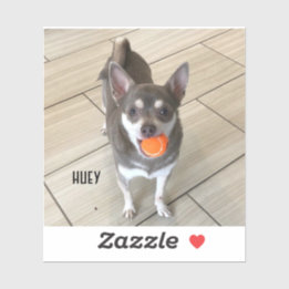 Bärbar dator Huey Klistermärken