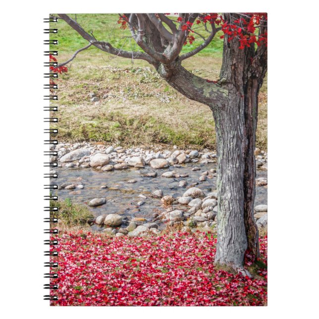 Bärbar dator i Red Autumn Träd Anteckningsbok (Framsidan)
