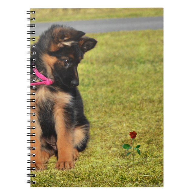 Bärbar dator med german shepard beundran för ro anteckningsbok (Framsidan)