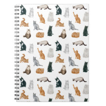 Bärbar dator med spelande katter