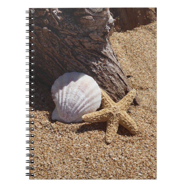 Bärbar dator med stjärnfisk och Sand Spiral Anteckningsbok (Framsidan)