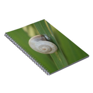 Bärbar dator snigel Journal Anteckningsbok Med Spiral