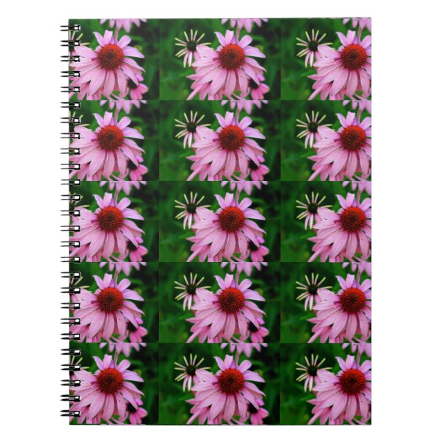 Bärbar echinacea-blomma anteckningsbok (Framsidan)