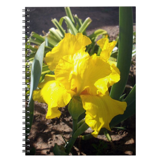 Bärbar Gult-Iris-blomma Anteckningsbok (Framsidan)