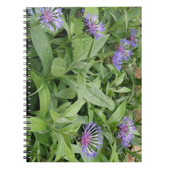 Bärbar kornblomma anteckningsbok med spiral (Framsidan)