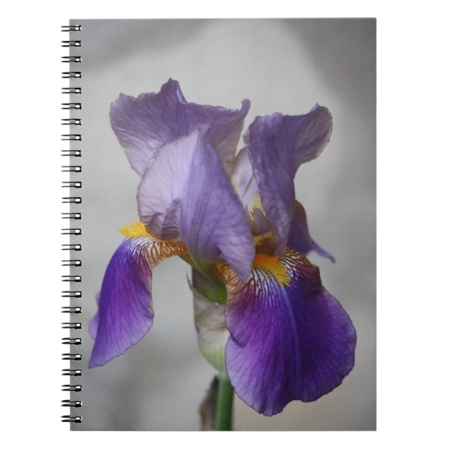 Bärbar lila-skäggig iris-dator anteckningsbok med spiral (Framsidan)