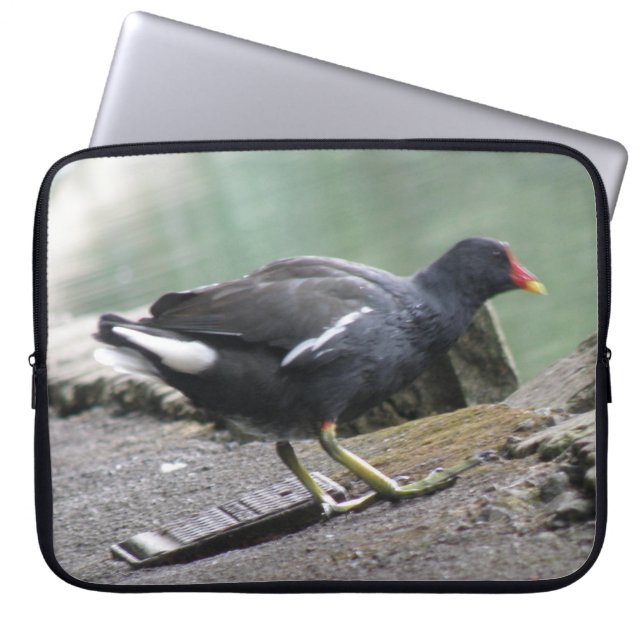 Bärbar Moorhen-dator Laptop Sleeve (Framsidan)
