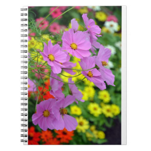Bärbar rosa cosmos-blomma anteckningsbok med spiral