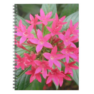 Bärbar Rosa Tropical Flowers-dator Anteckningsbok Med Spiral