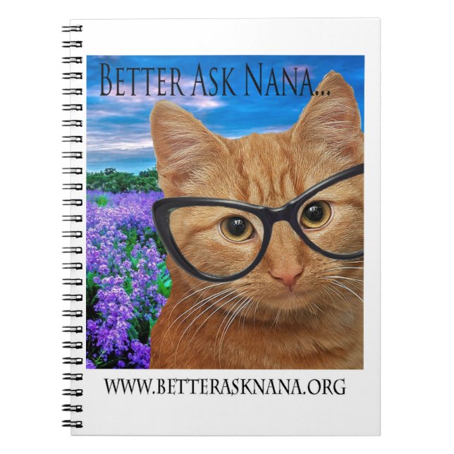 Bärbar spiral-dator, fråga nana anteckningsbok (Framsidan)