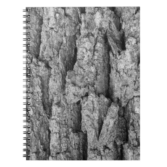 Bärbar spiral-dator - gammal ökningsteknock anteckningsbok (Framsidan)