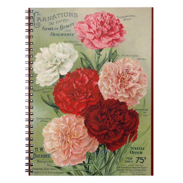 Bärbar VTG Botanisk Carnation Spiral-dator Anteckningsbok (Framsidan)