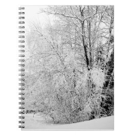 Bärbar Winter Whites-dator Anteckningsbok