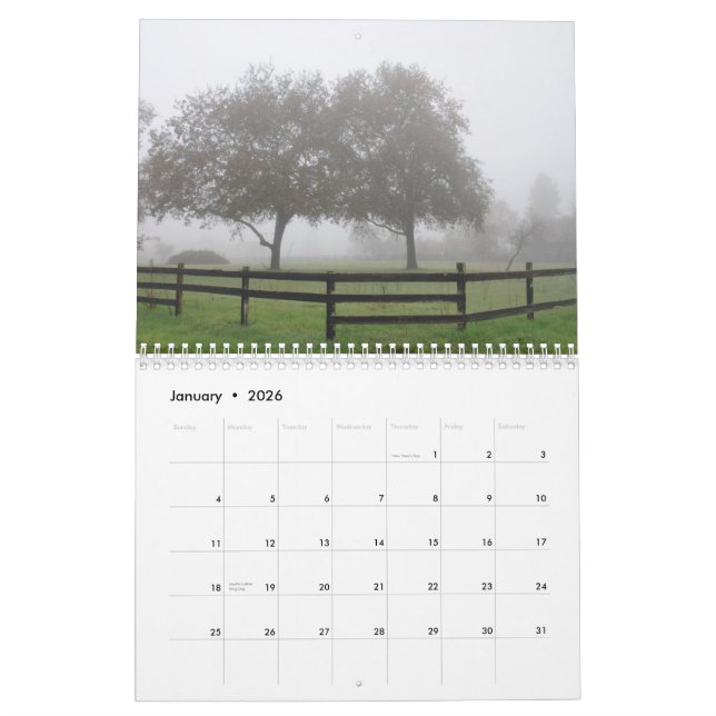 Barbara Hall - resor: Hem och utomlands, 2012 Kalender (Jan 2026)