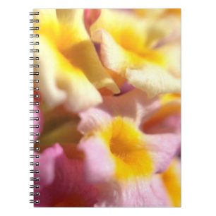 Bärbara Lantana-blommor Anteckningsbok Med Spiral