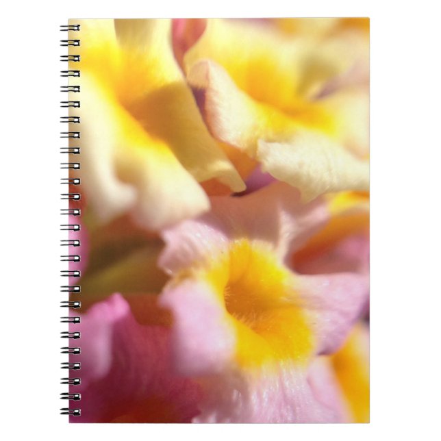 Bärbara Lantana-blommor Anteckningsbok Med Spiral (Framsidan)