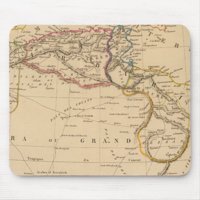 barbari musmatta (Framsidan)