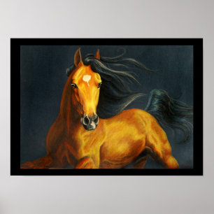 Barbaro Poster